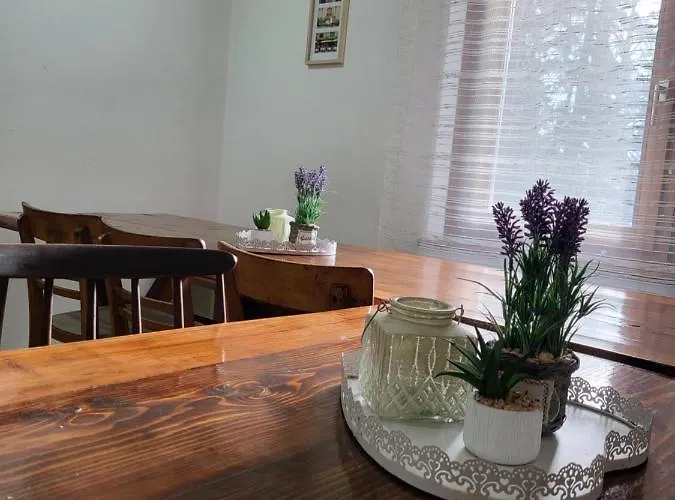 Bus Station Beds 布莱德